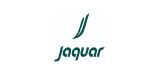 jaguar-desktop-1646230644-KpiIX